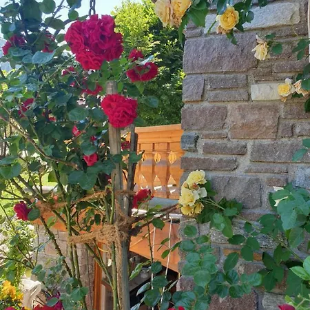 Graukogel Blick Διαμέρισμα