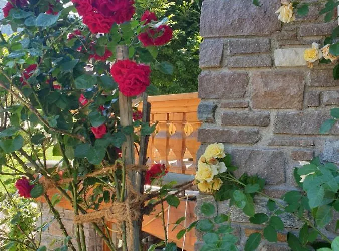 Graukogel Blick Apartmán